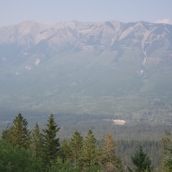 Meet your Posher, RW - Picture 2 of 2